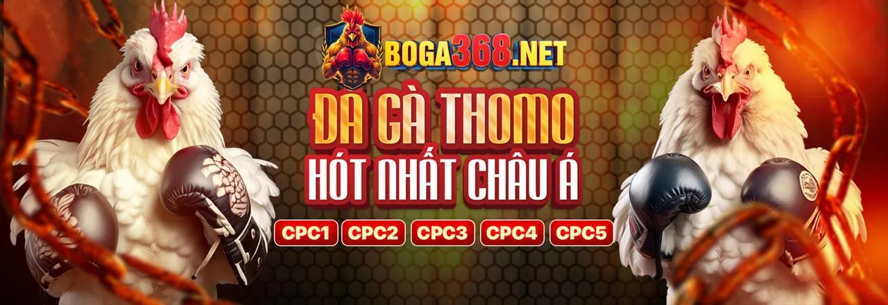 Đá gà trực tuyến zobet win